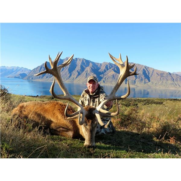 EXCLUSIVE ADVENTURE: 5-Day Red Stag Hunt for 2 Hunters and 2NHs in NZ - Includes Trophies & More!