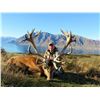 Image 1 : EXCLUSIVE ADVENTURE: 5-Day Red Stag Hunt for 2 Hunters and 2NHs in NZ - Includes Trophies & More!