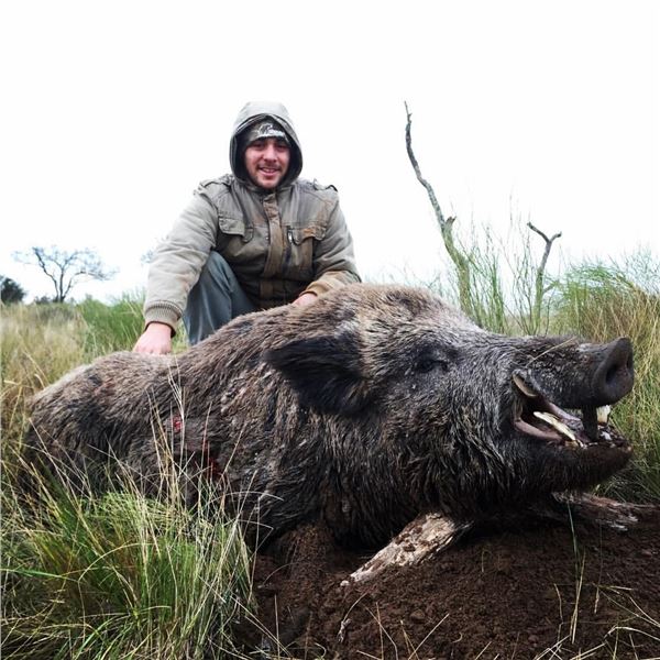 CATENA SAFARI: 5-Day Boar and Fishing Adventure for Two Hunters in Argentina - Includes Trophy Fees