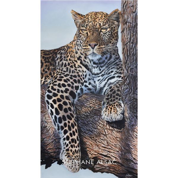 STEPHAN ALSAC ART: "Motswiri" - Original Leopard Painting