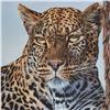 Image 2 : STEPHAN ALSAC ART: "Motswiri" - Original Leopard Painting