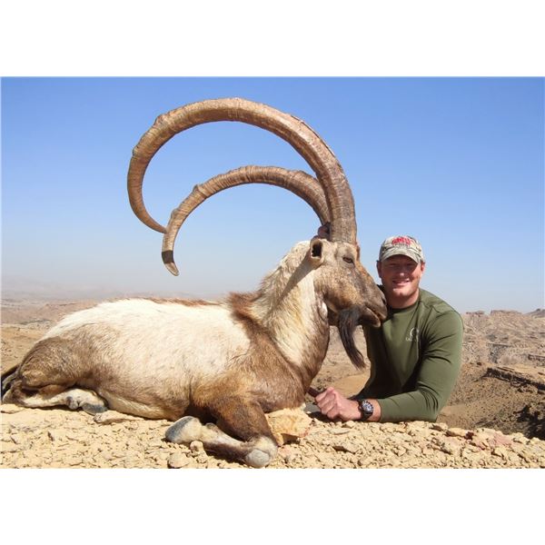 CAPRINAE SAFARIS: 3-Day Sindh Ibex Hunt for One Hunter in Pakistan - Includes Trophy Fee