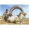 Image 2 : CAPRINAE SAFARIS: 3-Day Sindh Ibex Hunt for One Hunter in Pakistan - Includes Trophy Fee