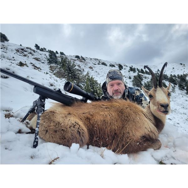 IBERIAN EXPERIENCE: 4-Day Big Game Hunt for Two Hunters and Two NHs in Spain - Includes Trophy Fees