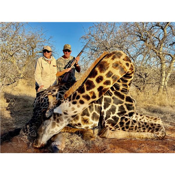 MONTERRA: 14-Day Dangerous & Plains Game Safari for One Hunter and 1 NH in SA - Includes Trophies