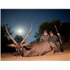 Image 5 : MONTERRA: 14-Day Dangerous & Plains Game Safari for One Hunter and 1 NH in SA - Includes Trophies