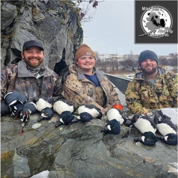 MIKE ODIN: 5-Day Sea Duck, Sitka Deer and Fox Hunt for Two Hunters in AK - Includes Trophy Fees