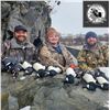 Image 1 : MIKE ODIN: 5-Day Sea Duck, Sitka Deer and Fox Hunt for Two Hunters in AK - Includes Trophy Fees