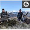 Image 5 : MIKE ODIN: 5-Day Sea Duck, Sitka Deer and Fox Hunt for Two Hunters in AK - Includes Trophy Fees