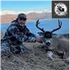 Image 6 : MIKE ODIN: 5-Day Sea Duck, Sitka Deer and Fox Hunt for Two Hunters in AK - Includes Trophy Fees