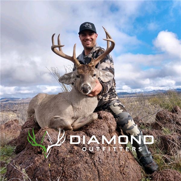 DIAMOND OUTFITTER5-Day Coues Deer and MT Lion Hunt for Two Hunters in AZ - Includes Trophy Fees