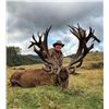 Image 3 : PORONUI HUNTING: 5-Day Red Stag Hunt for Two Hunters in New Zealand - Includes Trophy Fees
