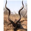 Image 2 : GRAHAM JONES: 7-Day Spiral Horn Safari for Two Hunters in South Africa - Includes Trophy Fees