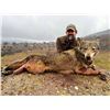 Image 2 : SAFARI INTERNATIONAL: 5-Day  Wolf Hunt for One Hunter and 1 NH in Macedonia - Includes Trophy Fee