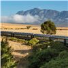 Image 4 : ROVOS RAIL: 4-Night Victoria Falls Journey for Two in South Africa Aboard Rovos Rail