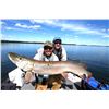 Image 5 : NORTH HAVEN RESORT: 4-Day/4-Night Fishing Adventure for Two Anglers in Manitoba, Canada