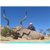 Image 2 : NAMIBIA SAFARI: 10-Day Plains Game Safari for Two Hunters in Namibia - Includes Trophy Credit