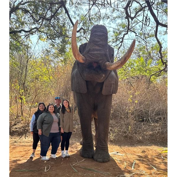 MATTHEW GREEFF: 5-Day Big Game Photo Safari for Two in South Africa