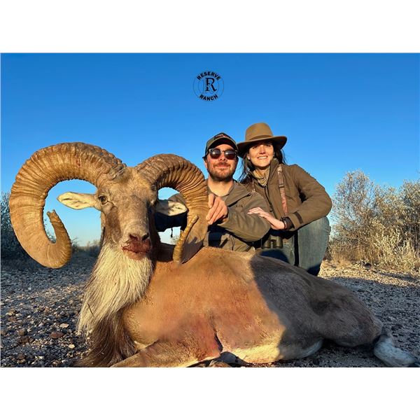 RESERVE RANCH: 3-Day Big Game Hunt for One Hunter and 1 NH in Texas - Includes Trophy Fees