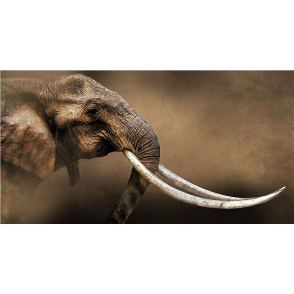 SANNETTE BOSHOFF: "DIDA, Eternal Queen" - Original Mixed Media on Canvas