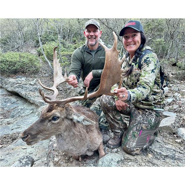 SAFARI INTERNATIONAL: 5-Day Fallow-Roe Hunt for 1 Hunter/1 NH in Macedonia - Includes Trophy Fees