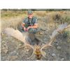 Image 2 : CAZATUR: 5-Day Red Deer OR Fallow Deer Hunt for Two Hunters in Spain - Includes Trophy Fees