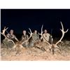 Image 3 : CAZATUR: 5-Day Red Deer OR Fallow Deer Hunt for Two Hunters in Spain - Includes Trophy Fees