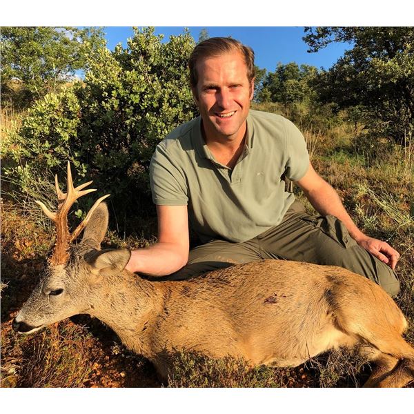 GREAT EUROPEAN: 4-Day Fallow OR Roe Deer Hunt for Two Hunters in Spain - Includes Trophy Fees