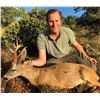 Image 1 : GREAT EUROPEAN: 4-Day Fallow OR Roe Deer Hunt for Two Hunters in Spain - Includes Trophy Fees