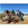 Image 4 : JAMY TRAUT: 7-Day Plains Game Safari for One Hunter and One NH in Namibia - Includes Trophy Fees