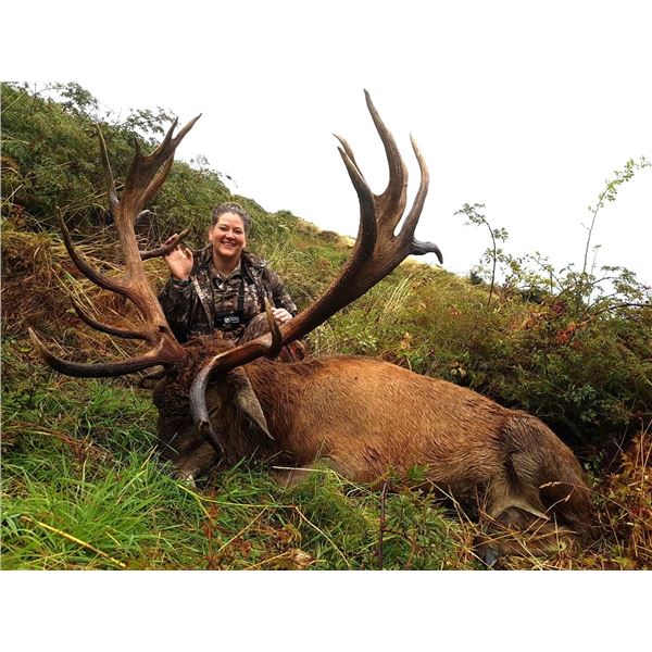 JOHN SCURR: 4-Day Red Stag Hunt for Two Hunters in New Zealand - Includes Trophy Fees