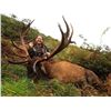 Image 1 : JOHN SCURR: 4-Day Red Stag Hunt for Two Hunters in New Zealand - Includes Trophy Fees
