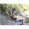 Image 2 : SALVA MONFORTE: 8-Day Southeastern Ibex Hunt for Two Hunters in Spain - Includes Trophy Fees