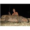 Image 2 : GAME TRACKERS: 14-Day Leopard Hunt for One Hunter in Tanzania - Includes Trophy Fee