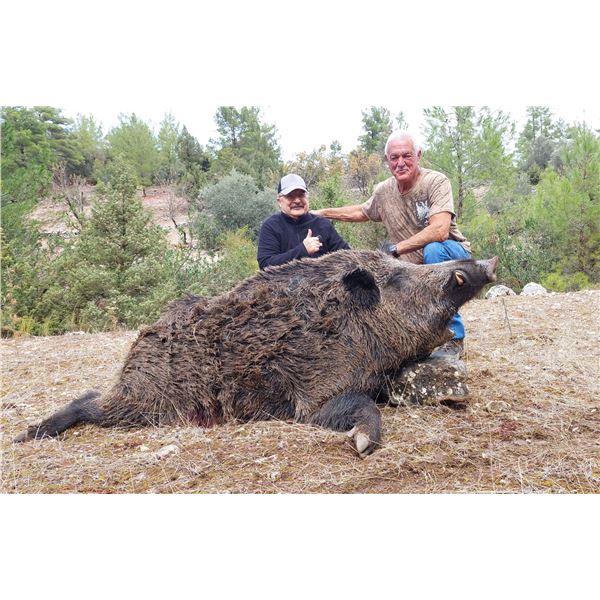 TURKISH FRONTIER: 4-Day Anatolian Wild Boar Hunt for Three Hunters in Turkey - Includes Trophy Fees