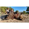 Image 2 : TURKISH FRONTIER: 4-Day Anatolian Wild Boar Hunt for Three Hunters in Turkey - Includes Trophy Fees