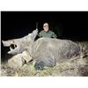 Image 4 : TURKISH FRONTIER: 4-Day Anatolian Wild Boar Hunt for Three Hunters in Turkey - Includes Trophy Fees