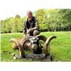 Image 2 : HUNT TRIP FRANCE: 5-Day Big Game Hunt for Two Hunters and Two NHs in France - Includes Trophy Fees