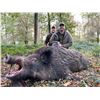 Image 4 : HUNT TRIP FRANCE: 5-Day Big Game Hunt for Two Hunters and Two NHs in France - Includes Trophy Fees