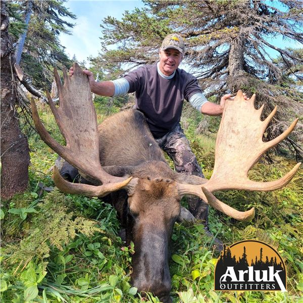 ARLUK OUTFITTERS: 7-Day Moose Hunt for One Hunter and One NH in Newfoundland - Includes Trophy Fee