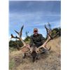 Image 1 : CHRIS MCCARTHY: 6-Day Big Game Hunt for Four Hunters in New Zealand - Includes Trophy Fees