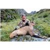 Image 3 : CHRIS MCCARTHY: 6-Day Big Game Hunt for Four Hunters in New Zealand - Includes Trophy Fees