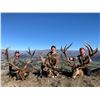 Image 5 : CHRIS MCCARTHY: 6-Day Big Game Hunt for Four Hunters in New Zealand - Includes Trophy Fees