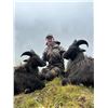 Image 6 : CHRIS MCCARTHY: 6-Day Big Game Hunt for Four Hunters in New Zealand - Includes Trophy Fees