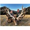 Image 8 : CHRIS MCCARTHY: 6-Day Big Game Hunt for Four Hunters in New Zealand - Includes Trophy Fees