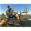Image 1 : MVP WHITETAILS: 3-Day Whitetail Hunt for One Hunter and One NH in Texas - Includes Trophy Fee