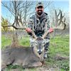 Image 2 : MVP WHITETAILS: 3-Day Whitetail Hunt for One Hunter and One NH in Texas - Includes Trophy Fee