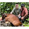 Image 3 : CONGO & GABON: 13-Day Dwarf Buffalo & Forest Species Hunt for One Hunter in the Republic of Congo