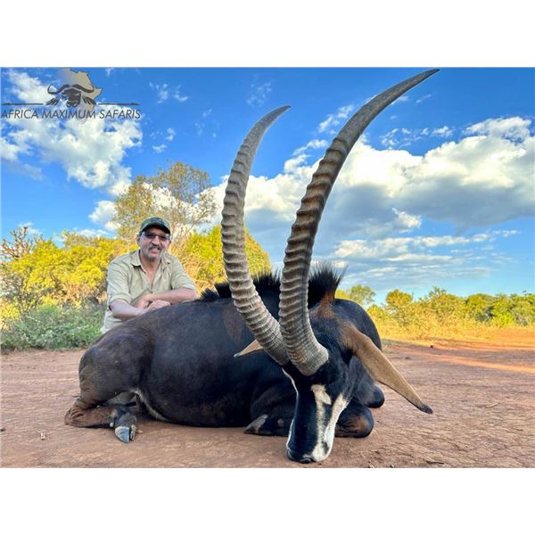 AFRICAN MAXIMUM: 8-Day Kudu and Sable Safari for Two Hunters and 2 NHs in SA - Includes Trophy Fees