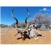 Image 2 : AFRICAN MAXIMUM: 8-Day Kudu and Sable Safari for Two Hunters and 2 NHs in SA - Includes Trophy Fees